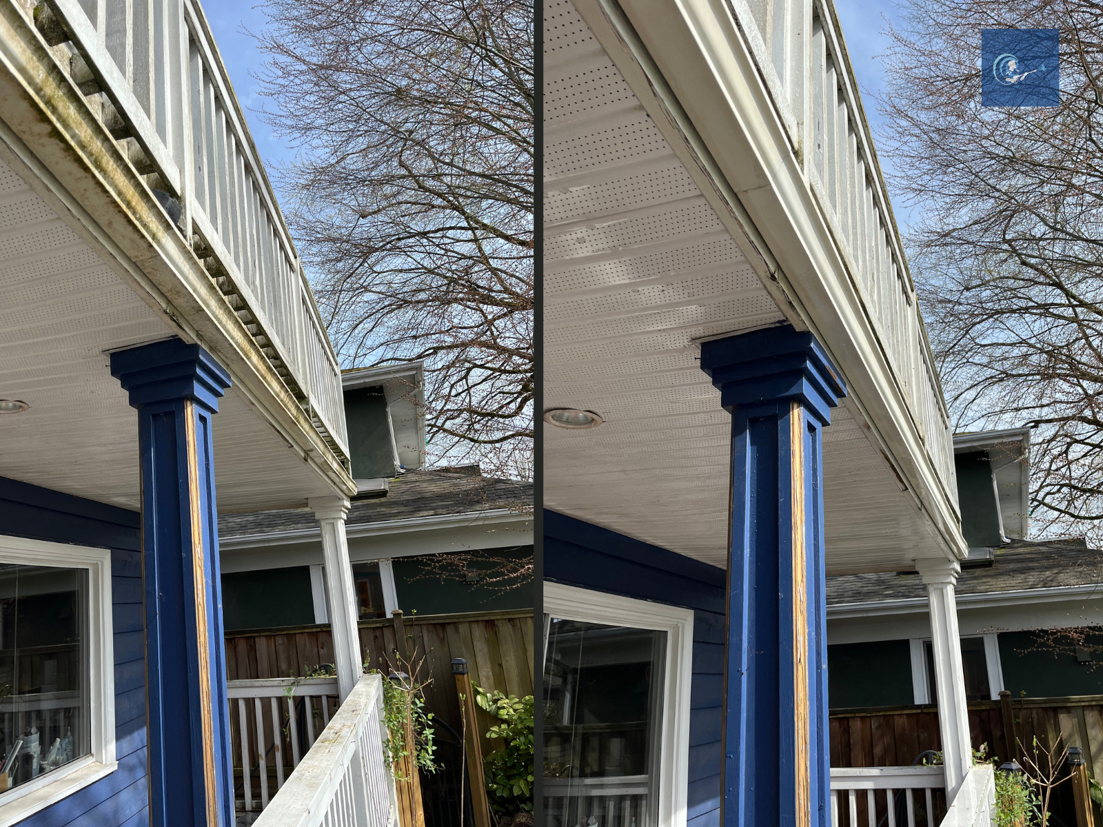 Before and After 7