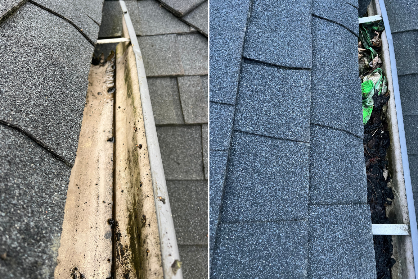 Before and After 11