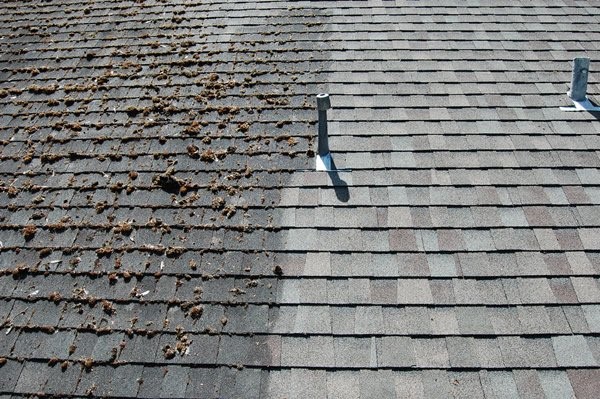 Roof Washing Before and After